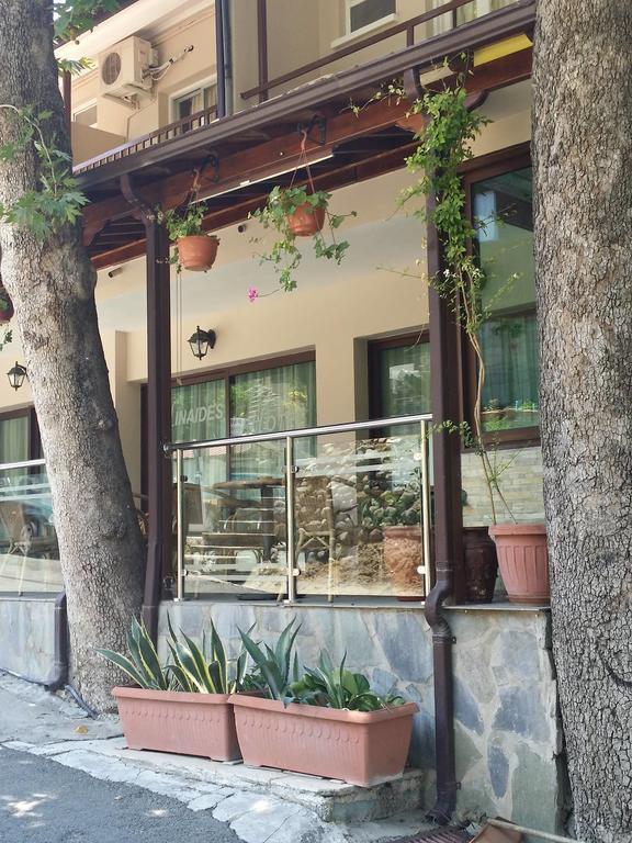 Minaides Hotel Kakopetria Esterno foto